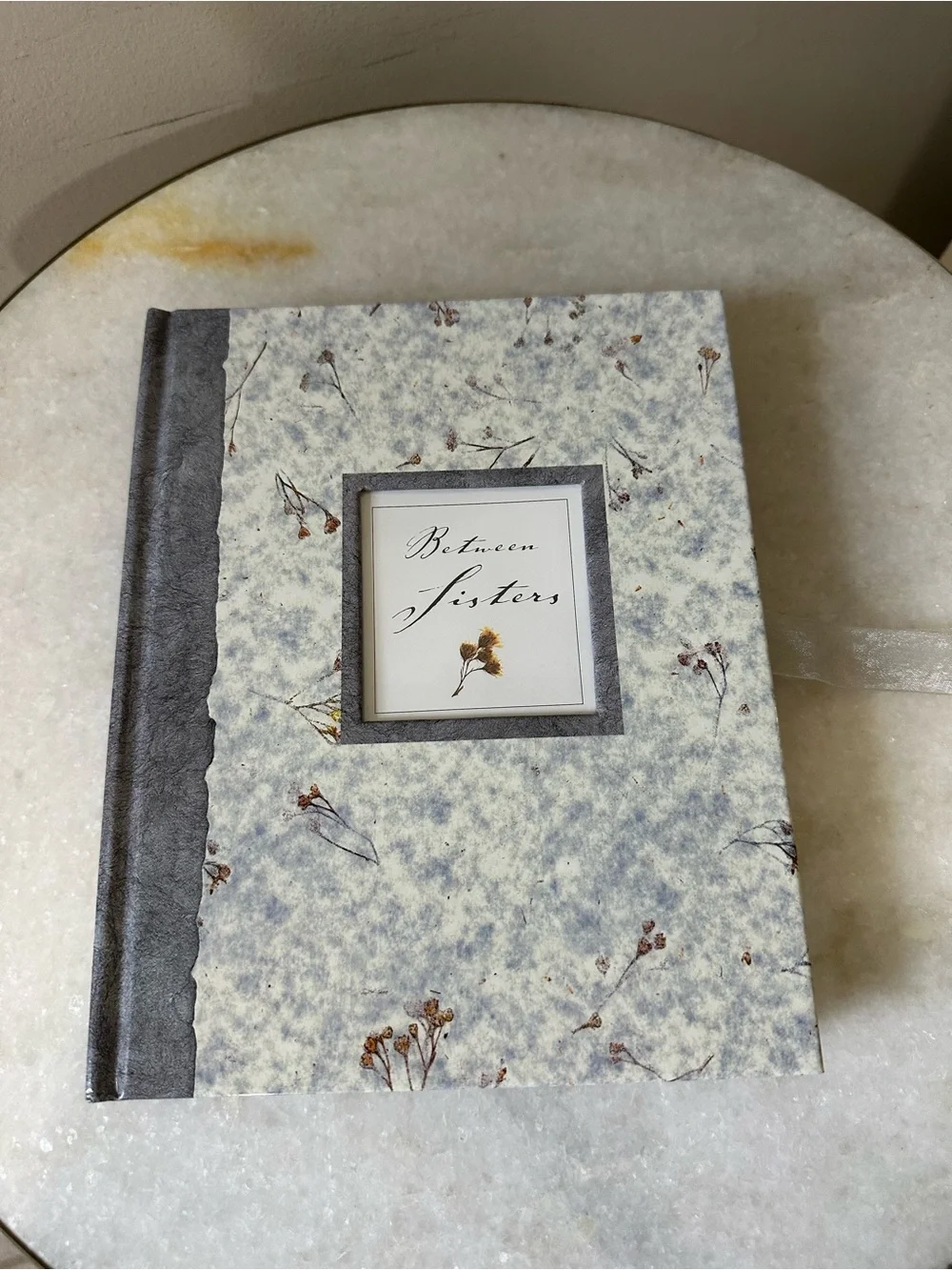'Between Sisters' Floral Hardcover Photo Album Journal in Pale Blue and Gray